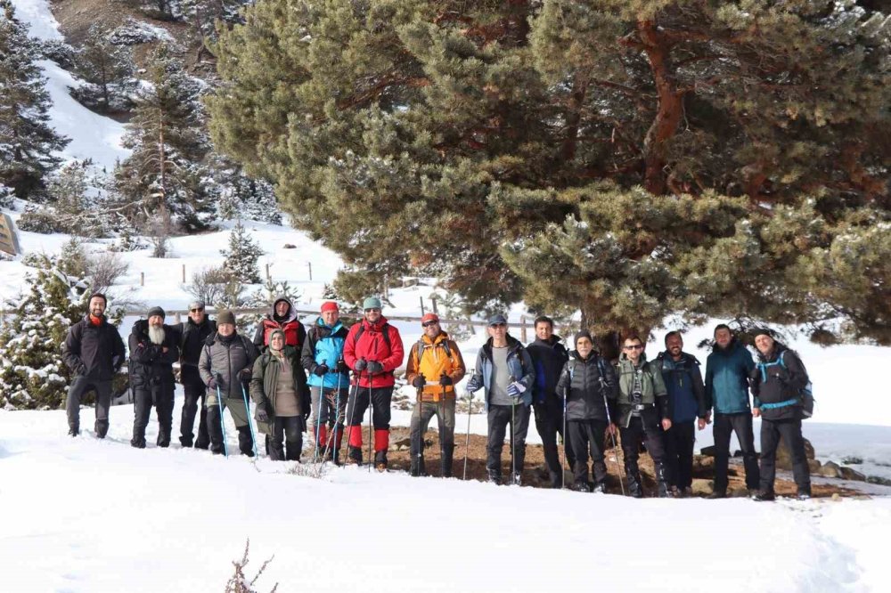 Erzurum'da karla kaplı dağlarda doğa yürüyüşü