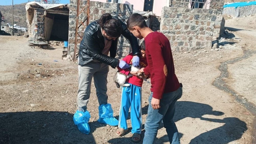 Siverek’te kuduz alarmı: Köpek saldırısında 3 şahıs yaralandı, köy karantinaya alındı