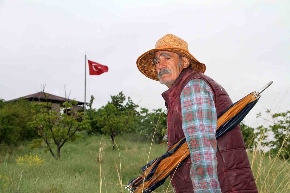 Ziya dede hastalandı, adaya belediye başkanı sahip çıktı