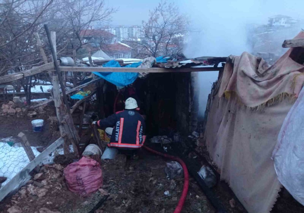 Malatya’da ahır yangınında 25 küçükbaş hayvan öldü
