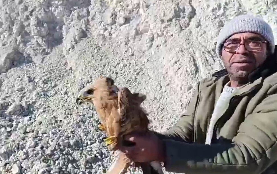 Adıyaman'da yaralı şahin özgürlüğüne kavuştu