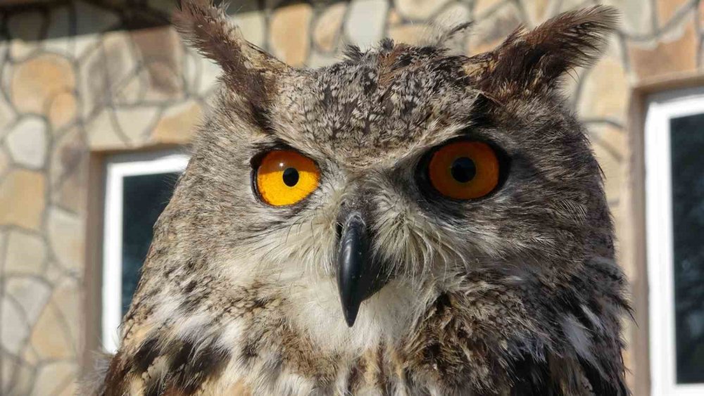 Prof. Dr. Lokman Aslan: Doğayı gelecek nesillere bozulmadan teslim etmeliyiz