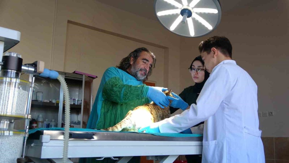 Prof. Dr. Lokman Aslan: Doğayı gelecek nesillere bozulmadan teslim etmeliyiz