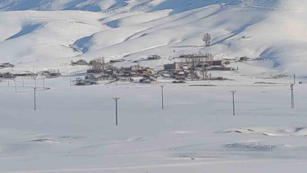 Aç kalan tilkiler yerleşim yerlerine indi