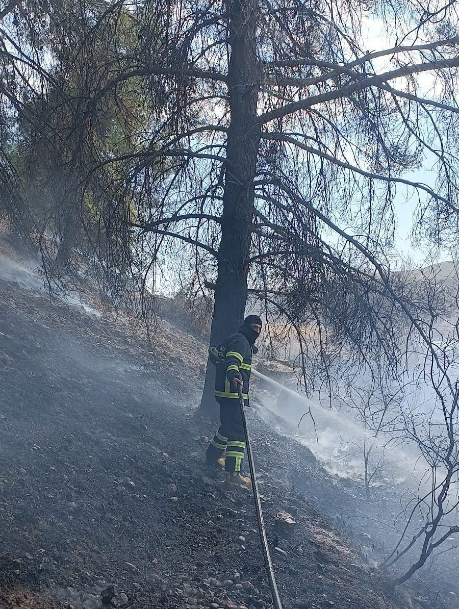 Adıyaman'da mesire alanında çıkan yangın korkuttu