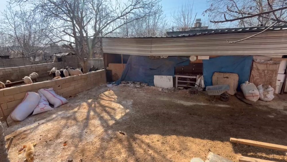 Adıyaman'da sahipli köpek kuduz çıktı, belde karantinaya alındı