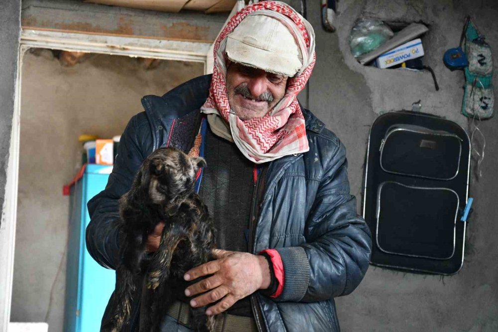 Vanlı besici, 9 senedir Şırnak’taki Faraşin Yaylası’nda hayvanlarıyla yaşıyor