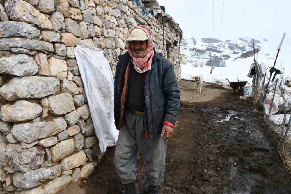 Vanlı besici, 9 senedir Şırnak’taki Faraşin Yaylası’nda hayvanlarıyla yaşıyor