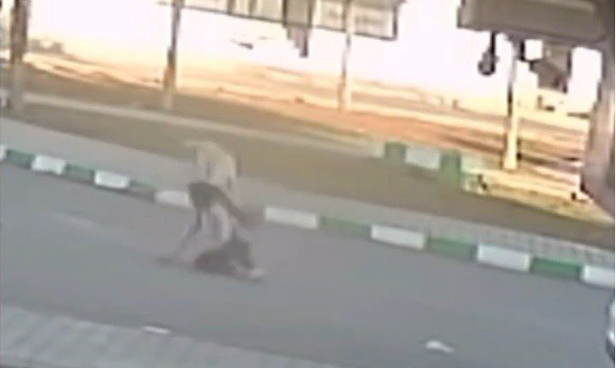 Antep’te 3 öğrenciye sokak köpekleri saldırdı