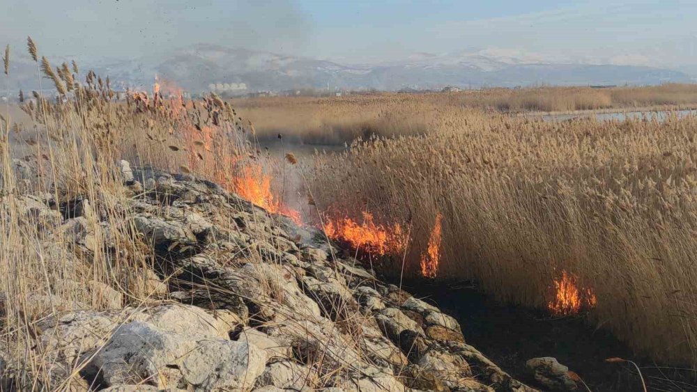 Van Gölü sahilindeki sazlık alanda yangın