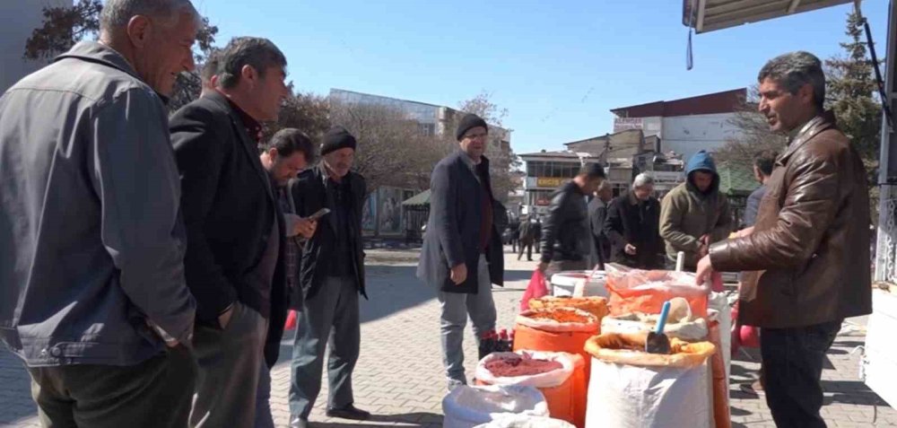 Van'da bal arıları baharatçıya akın etti