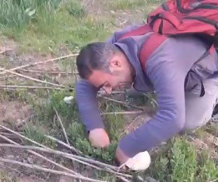 Bitlis’te dağ mantarı zamanı