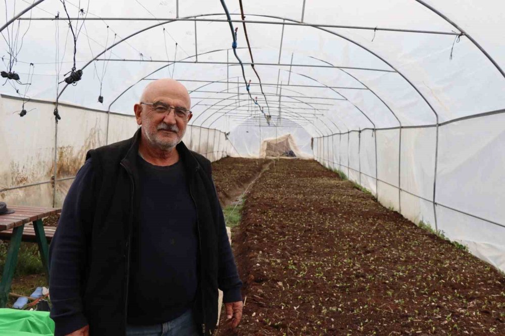 Erzurumlu çiftçi ömrünü fidan üretimine adadı