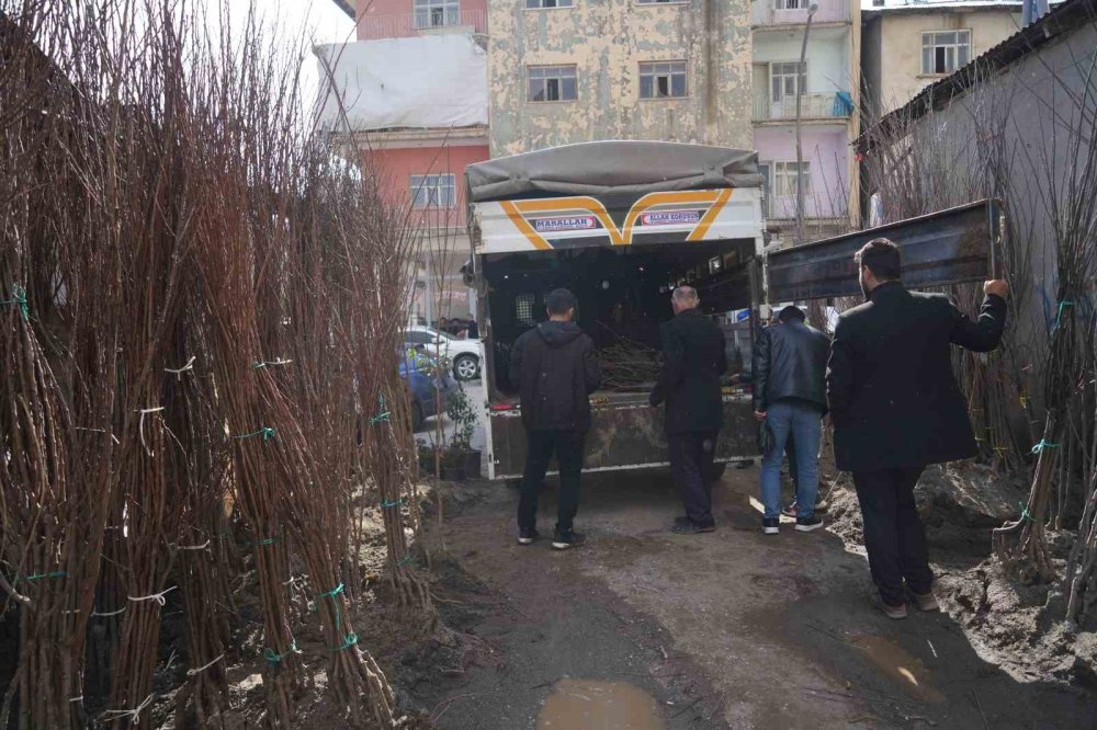 Muş’ta fidanlar satışa çıktı