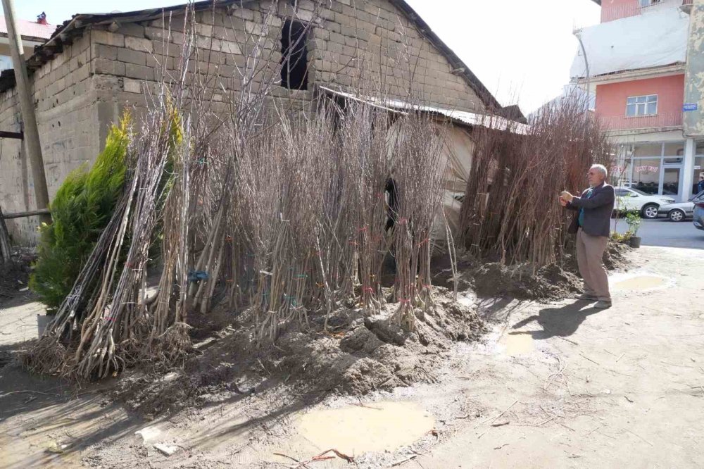 Muş’ta fidanlar satışa çıktı