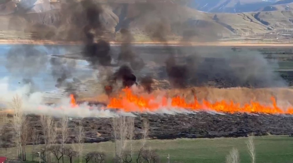 Van’ın Göründü deltasında çıkan yangın korkuttu
