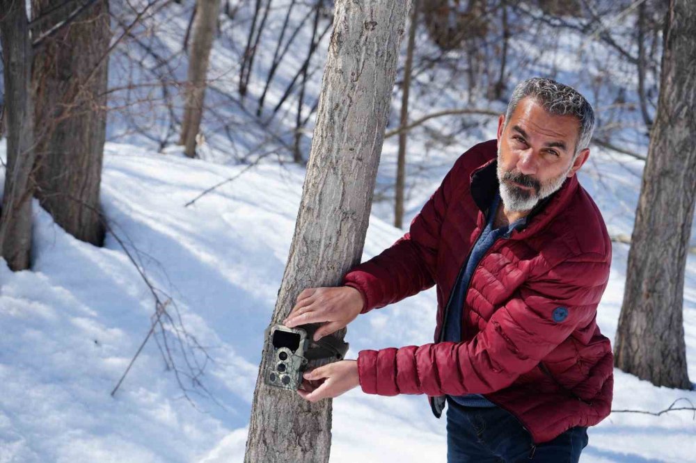 Yaban hayatı fotokapanla görüntülendi