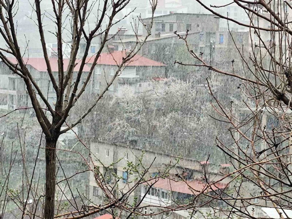 Hakkari merkezde kar yağışı etkili oldu