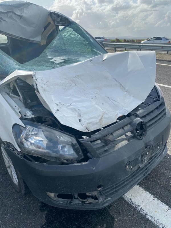İneğe çarpan otomobilin sürücüsü yaşamını yitirdi