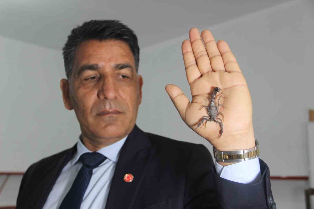 Urfalı akrep üreticisinden, bakanlığın Anadolu akreplerini koruma kararına destek