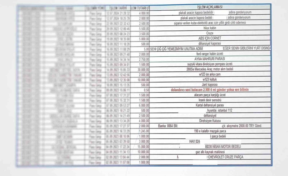 Sahte web sitesi üzerinden 229 milyon vurgun yapan şebekeye operasyon: 18 tutuklama
