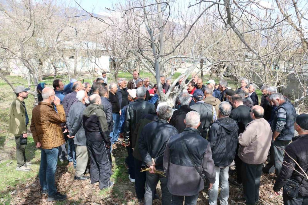 Erzincan’da budama kursuna ilgi