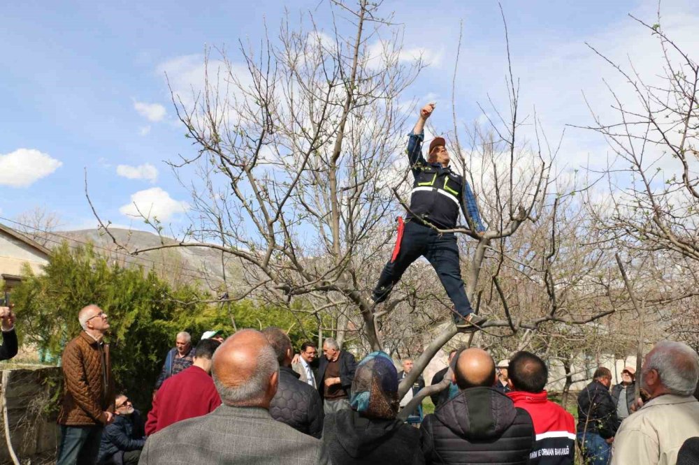 Erzincan’da budama kursuna ilgi