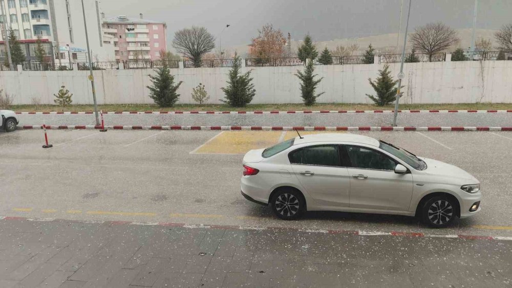 Erciş’te dolu yağışı etkili oldu