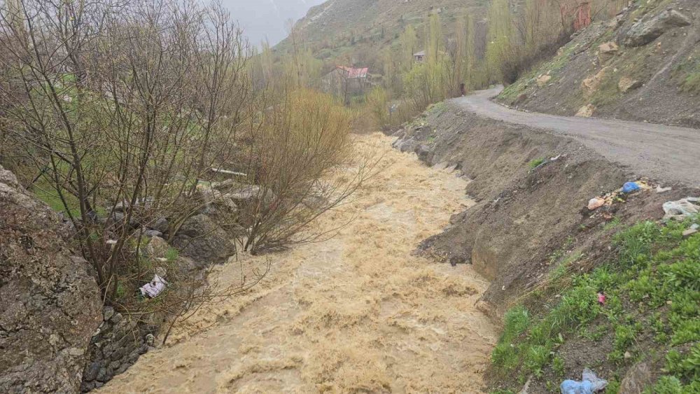 Hakkari'de kaybolan 60 yaşındaki kadını arama çalışmaları sürüyor