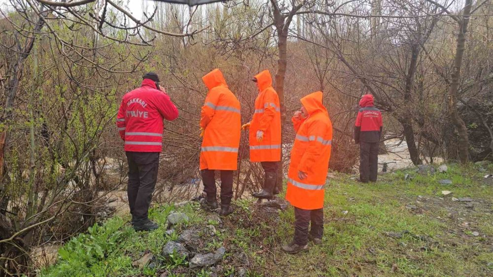 Hakkari'de kaybolan 60 yaşındaki kadını arama çalışmaları sürüyor