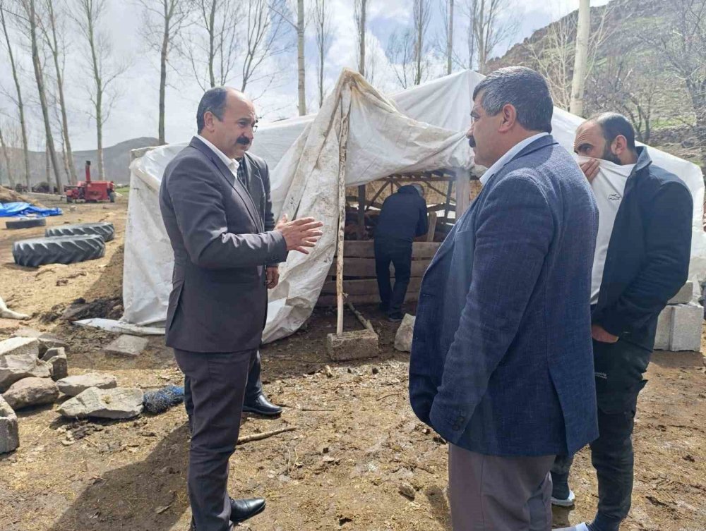 Doğubayazıt’ta şiddetli rüzgardan, 280 küçükbaş hayvan öldü