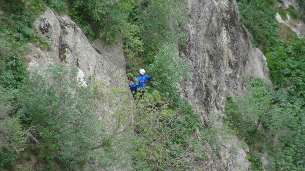 Gercüş'te 400 metrelik kayalıklarda şifa için ot topladı
