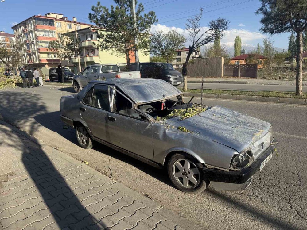 Seyir halindeki aracın üzerine ağaç devrildi, sürücü yaralandı