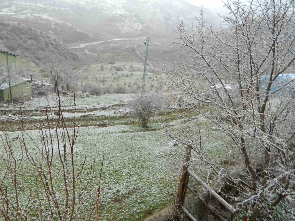 Ardahan yeniden beyaza büründü