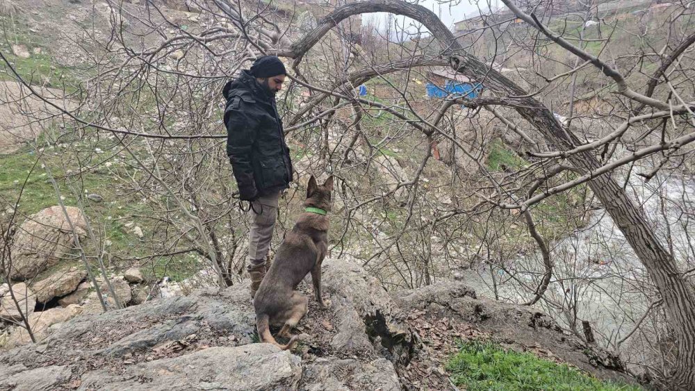 Hakkari’de kayıp kadını arama çalışması sürüyor