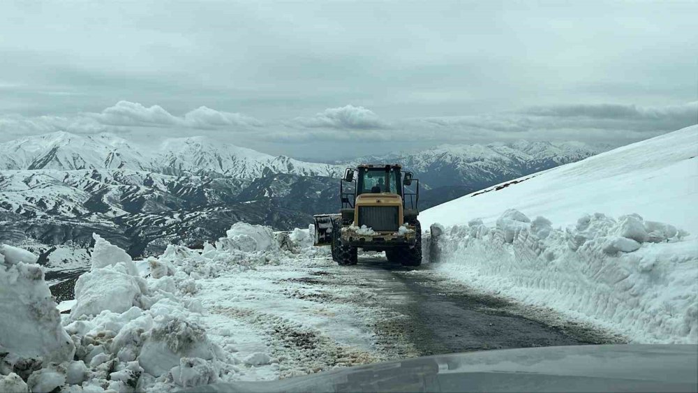 Muş’ta nisan karı yüksek kesimleri beyaza bürüdü