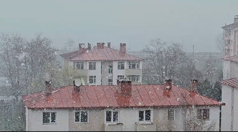 Tatvan’da kar yağışı etkili oldu