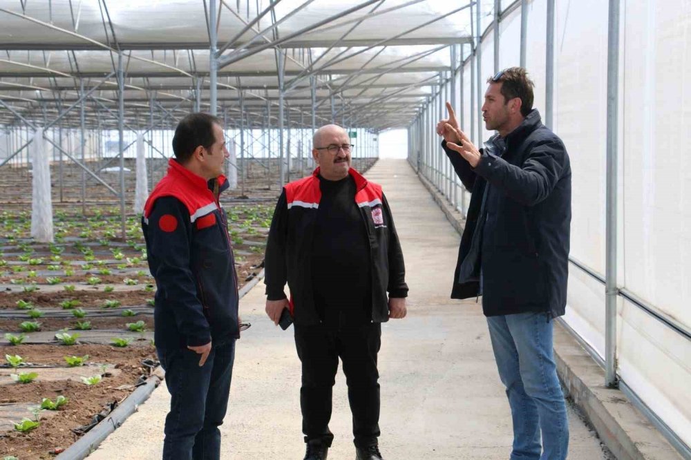 Erzincan geneline zirai don vurdu