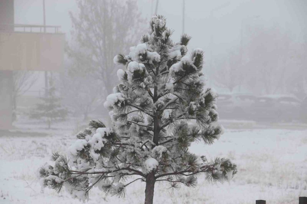 Diyadin’de Nisan ayında kar yağışı etkili oldu