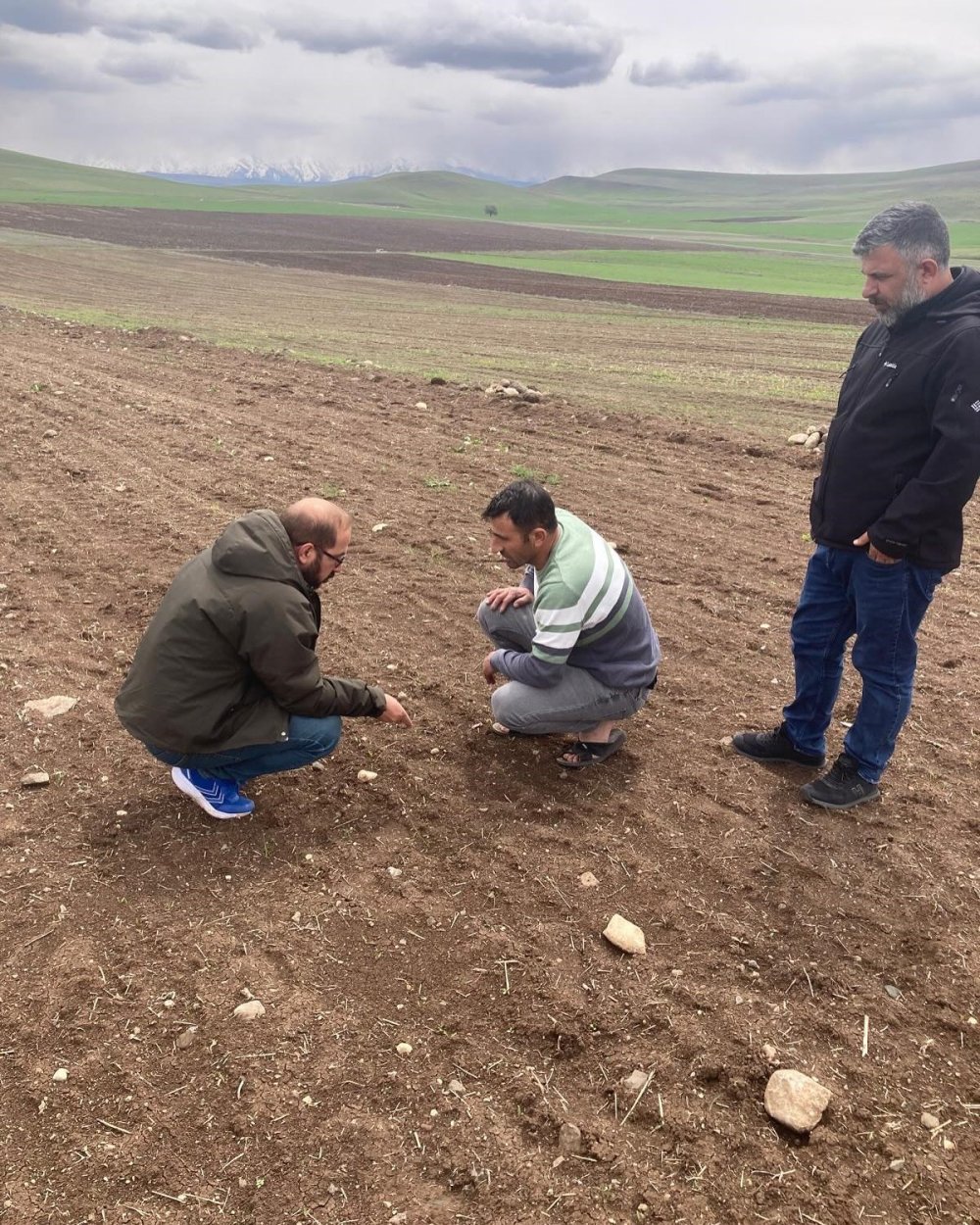 Elazığ’da zirai don sonrası hasar tespit çalışmaları devam ediyor