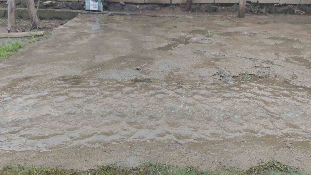 Erciş’te yağmur yağışı etkili oluyor