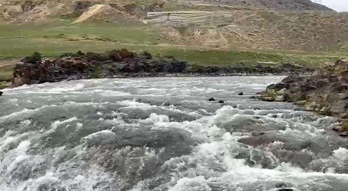 Müdür Altınkaynak: Balıklar bu yıl güvenli şekilde göç edecek