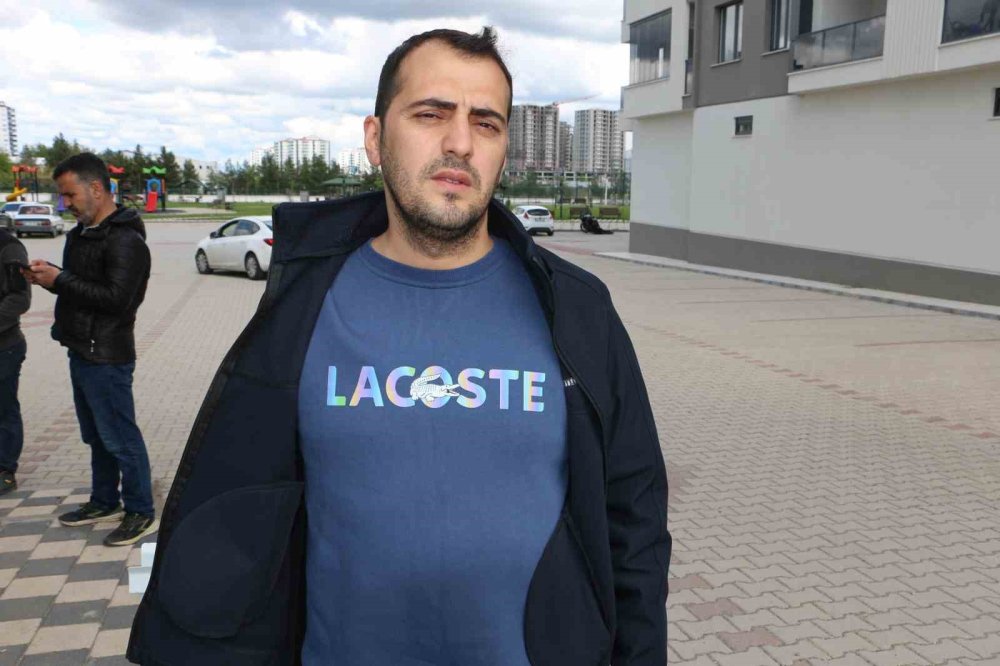 Diyarbakır’da başıboş sokak köpeği saldırıları: 12 saldırgan köpek belediye tarafından toplatıldı