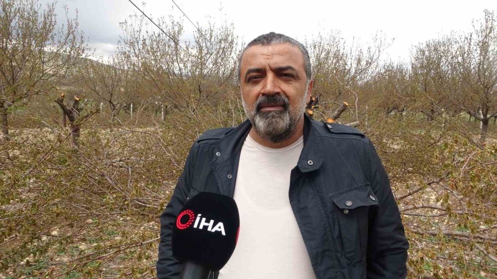 Malatya’da ağaçlarını kurtarmak için budama yapıyorlar