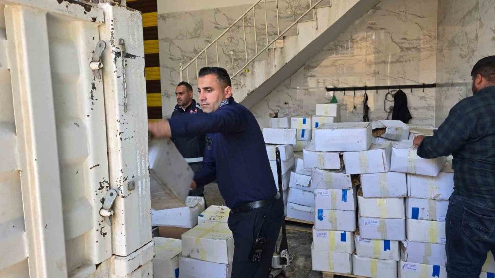 Urfa’da 11 ton kurtlanmış ceviz içi ele geçirildi