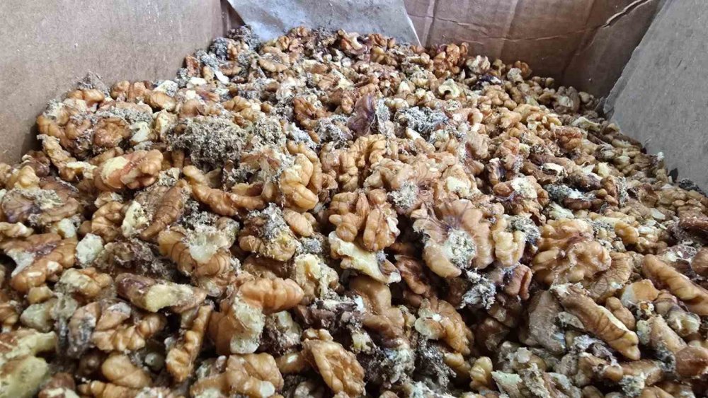 Urfa’da 11 ton kurtlanmış ceviz içi ele geçirildi