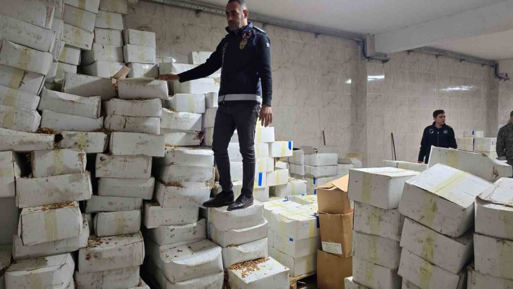 Urfa’da 11 ton kurtlanmış ceviz içi ele geçirildi