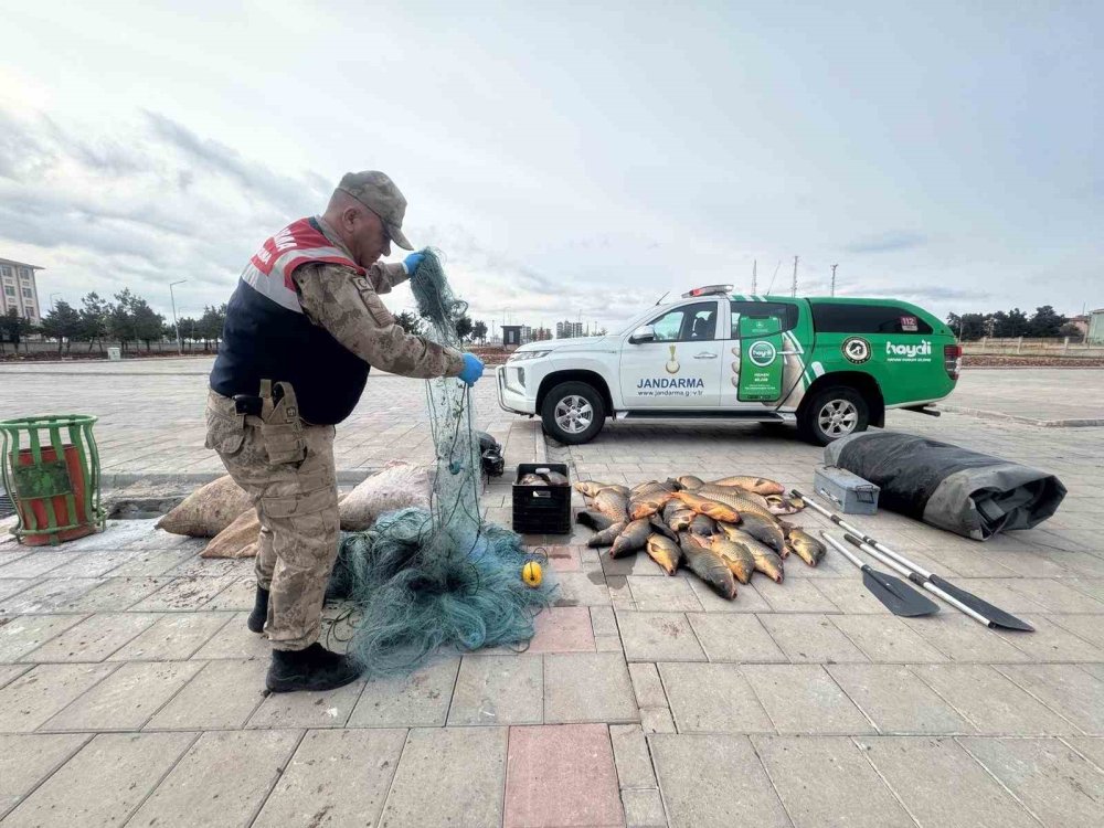 Urfa'da kaçak balık avlayan şahsa 221 bin lira ceza