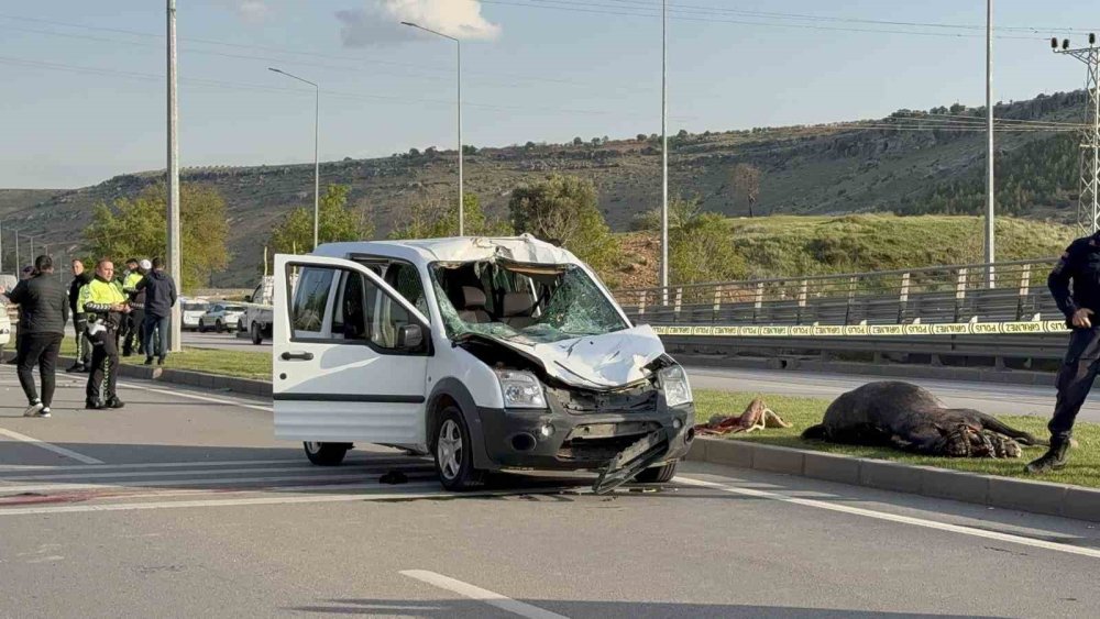 Antep’te yola fırlayan ata sivil polis otosu çarptı: 2 polis yaralandı