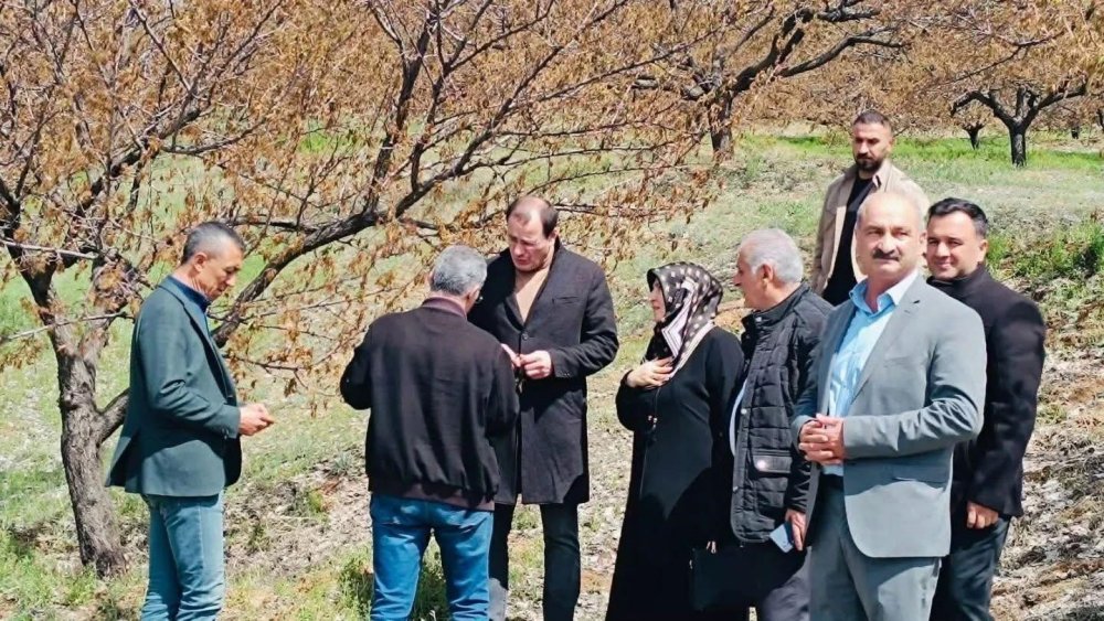 Elazığ'da dondan etkilenen meyve bahçelerinde inceleme